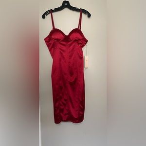 Burgundy Dress